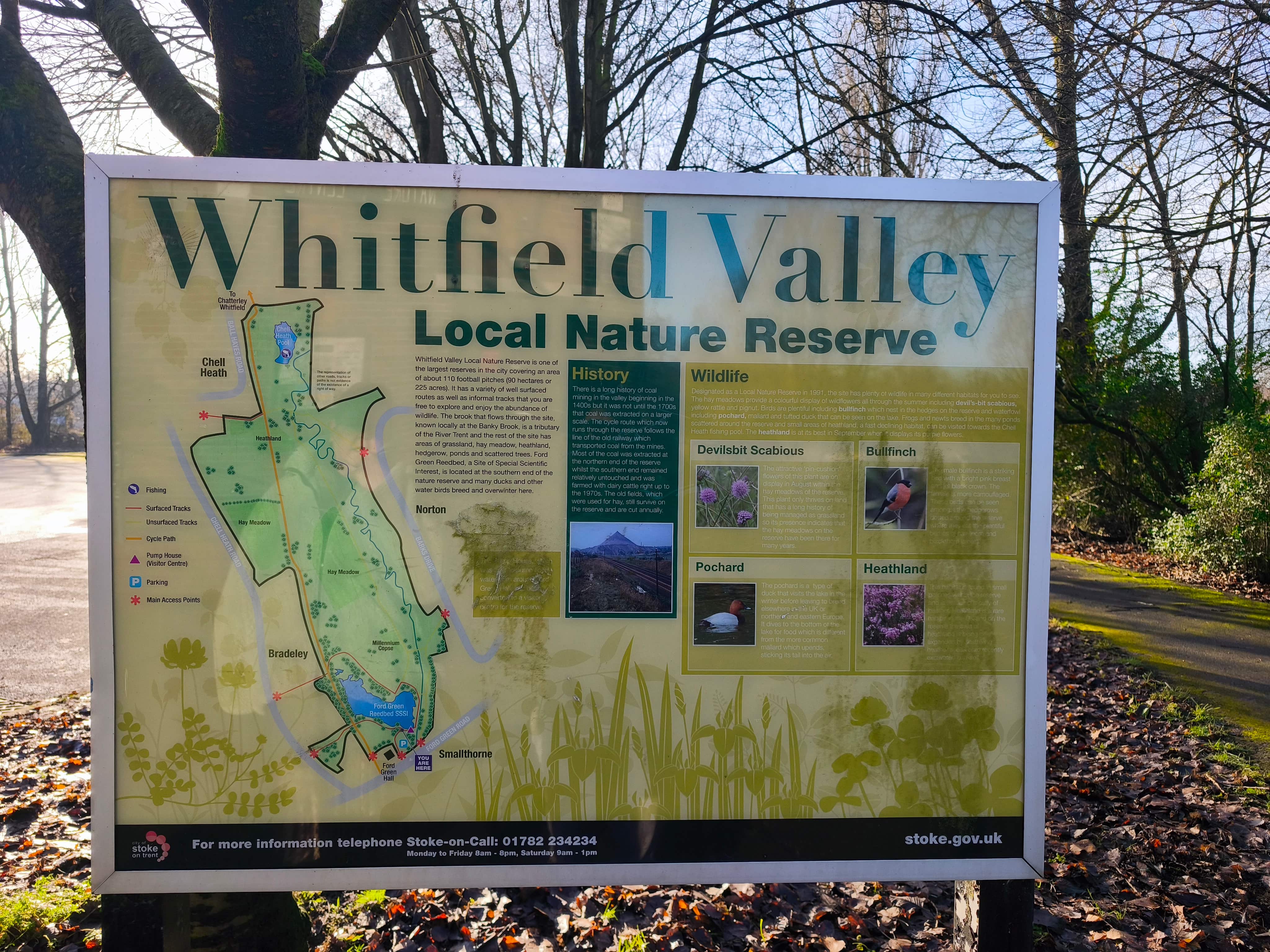 Whitfield Valley: Staffordshire's Reclaimed Wilderness Escape